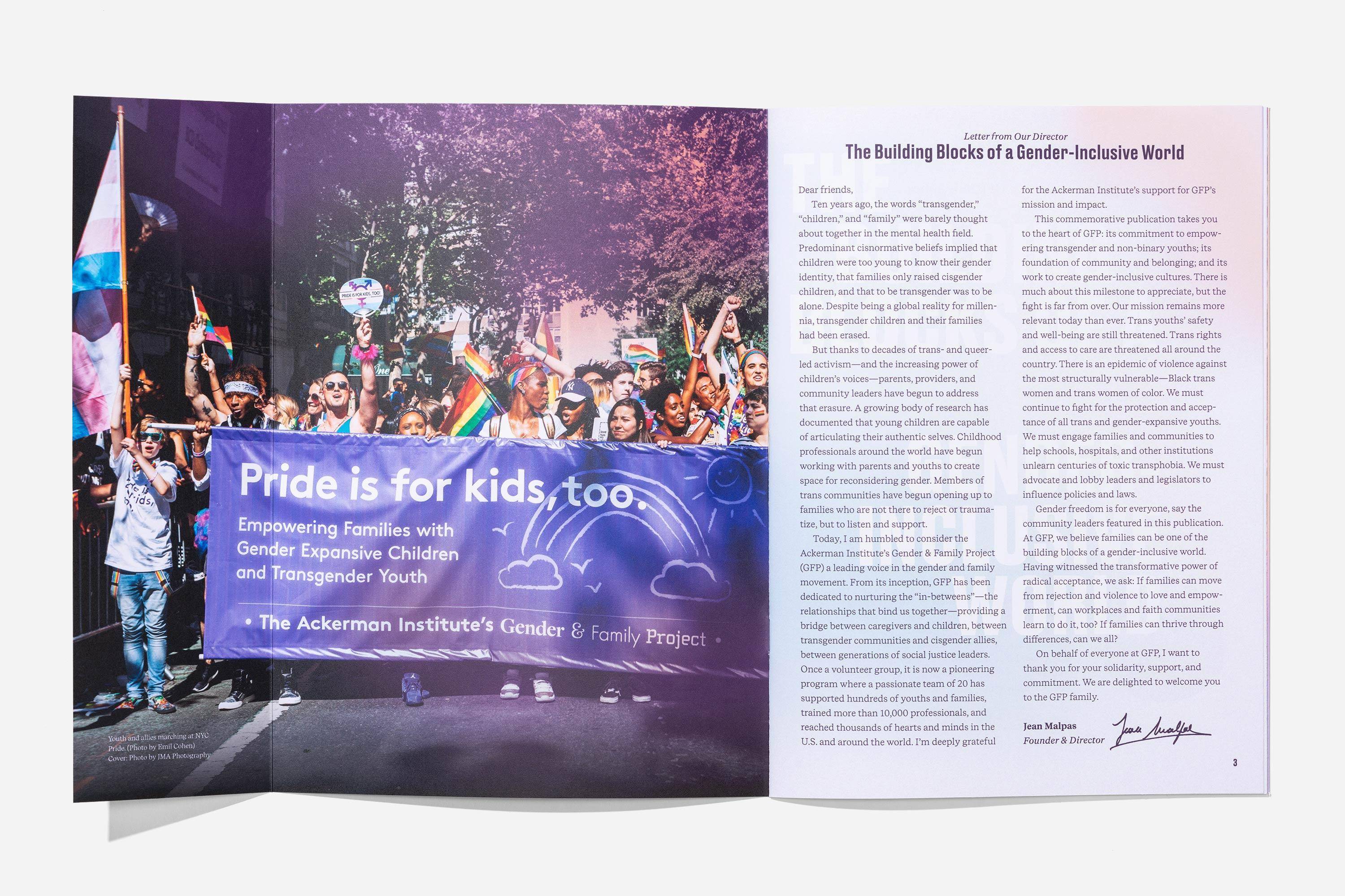 Topos GFP 10th Anniversary Booklet 05174 BG243