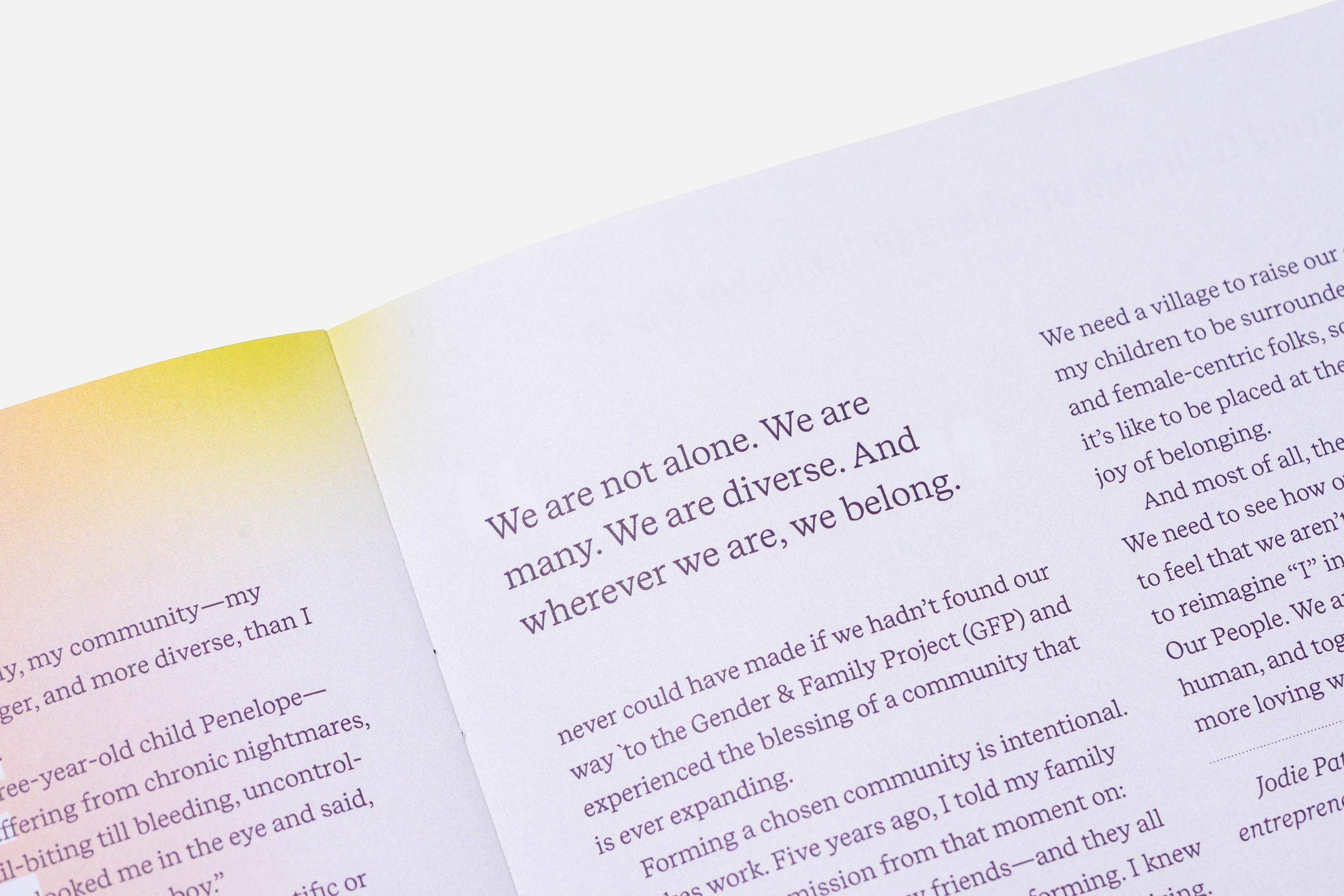 Topos GFP 10th Anniversary Booklet 05208 BG243