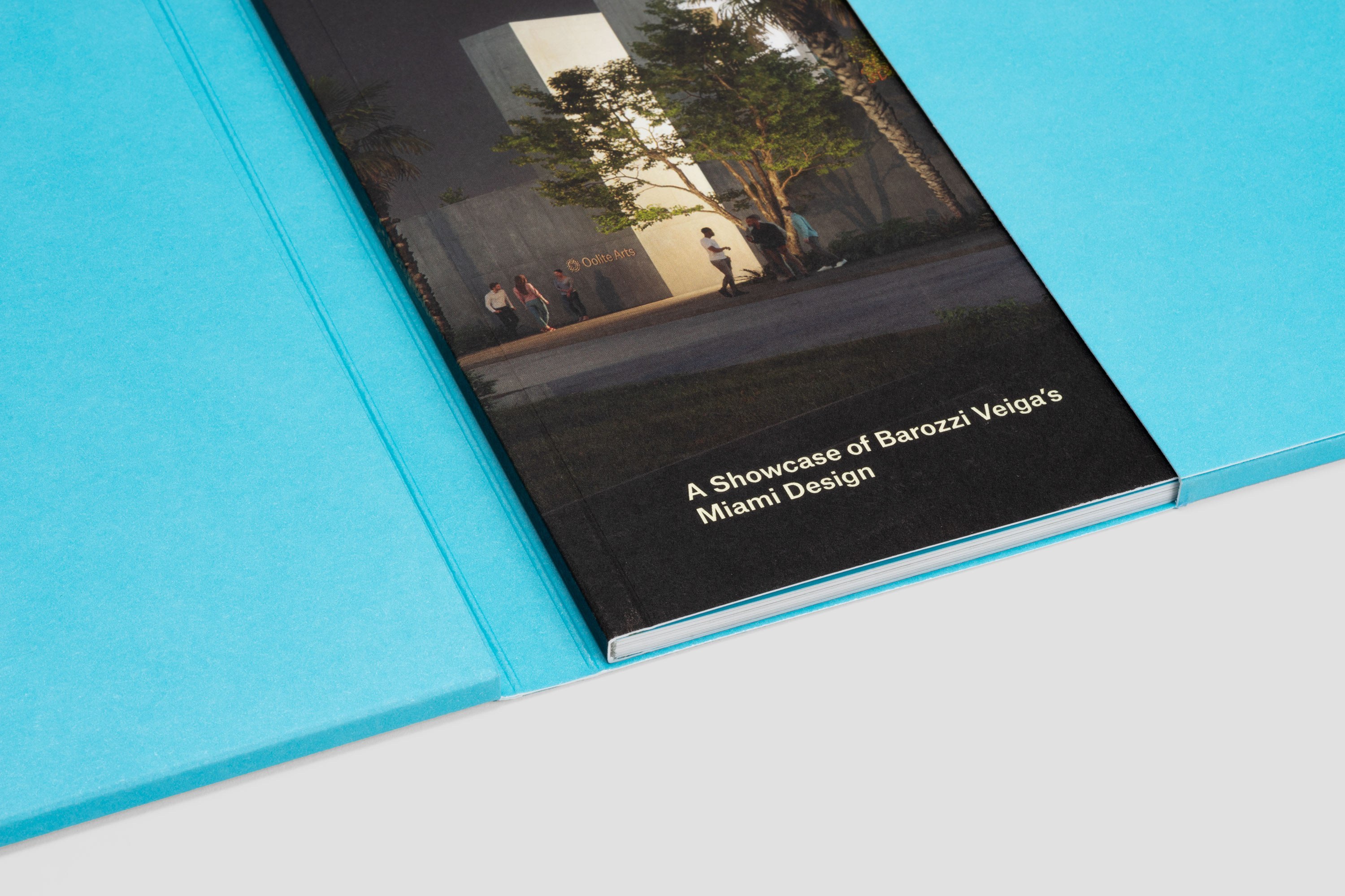 Topos Oolite Arts Campus Fundraising Folder Package 05662