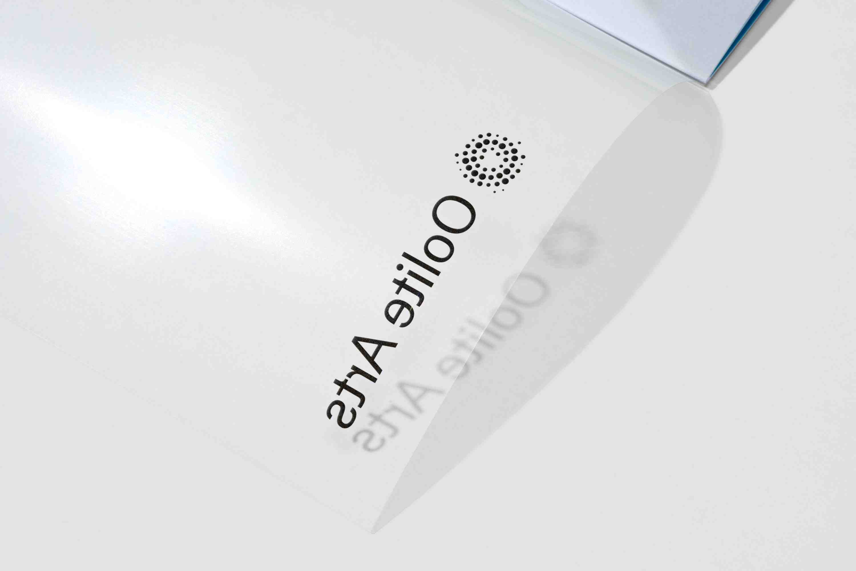 Topos Oolite Arts Windows at Walgreens Poly Cover Leaf Detail 04903