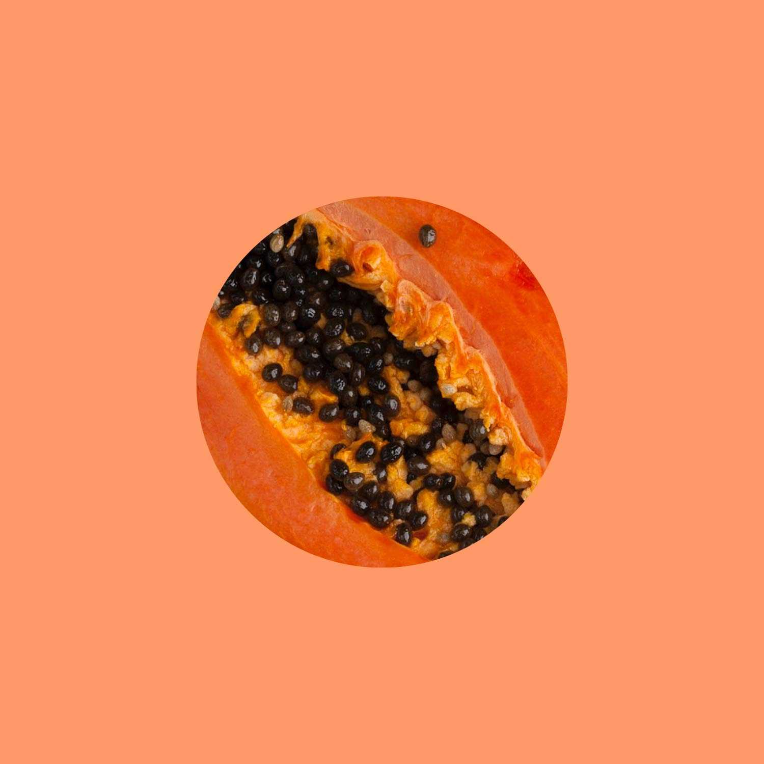 Tropic Bound Color Papaya