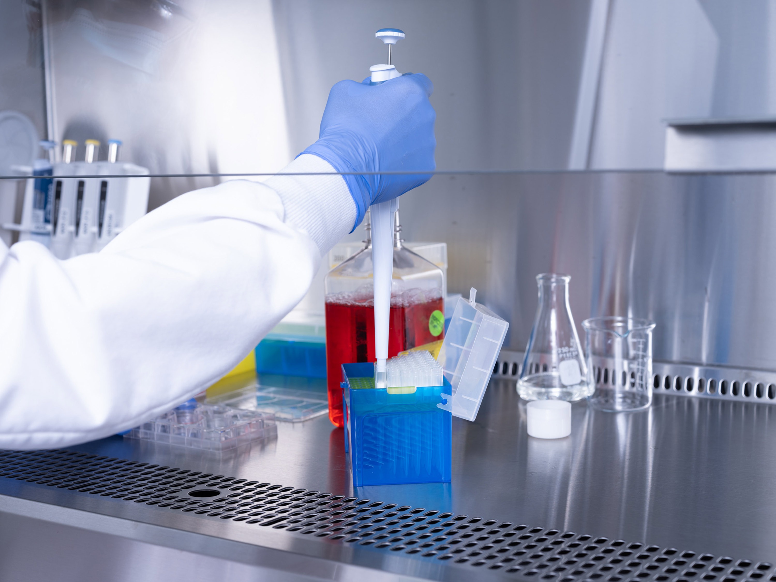 Gesischilling DSCF0504