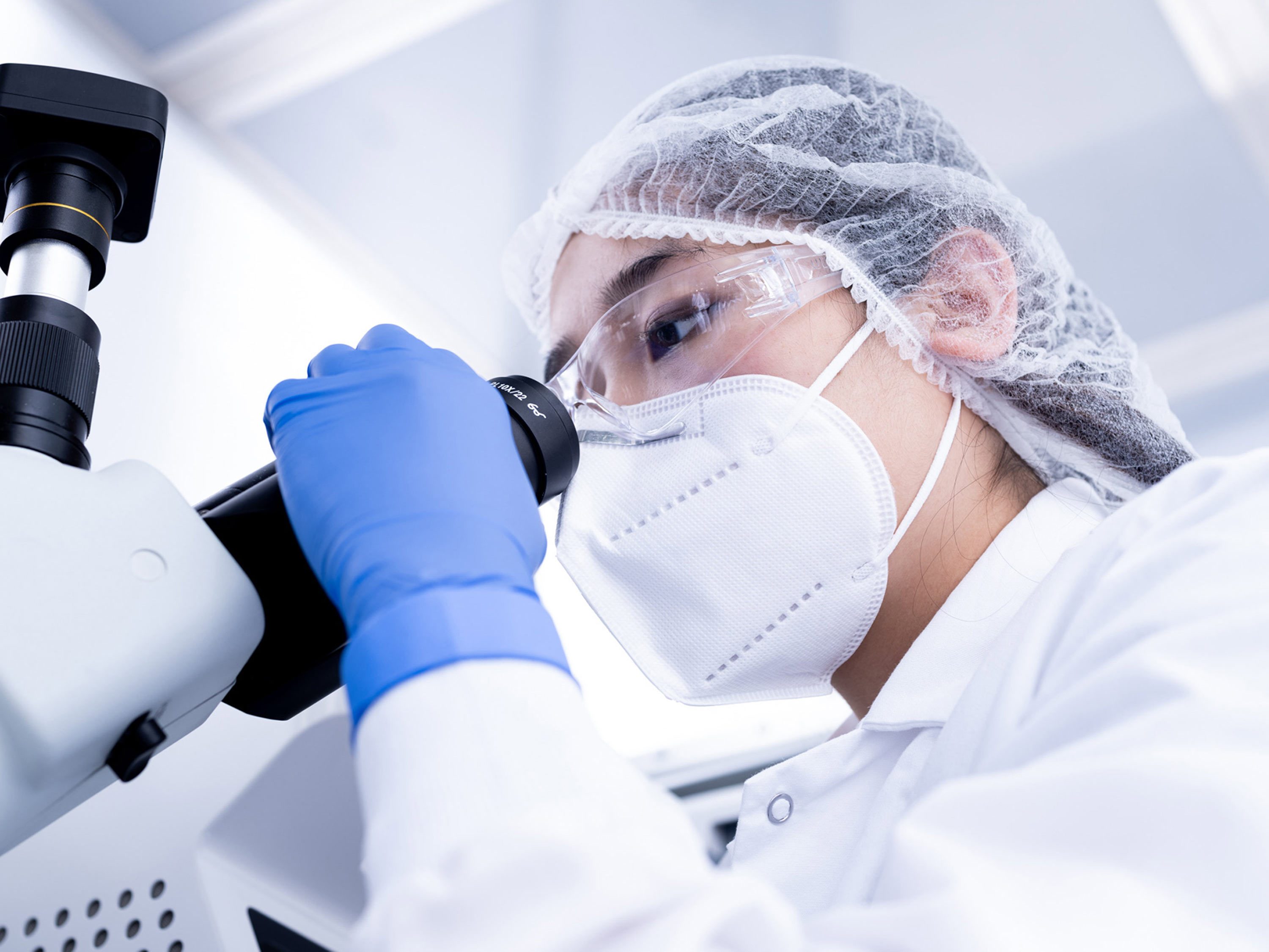 Gesischilling DSCF0581