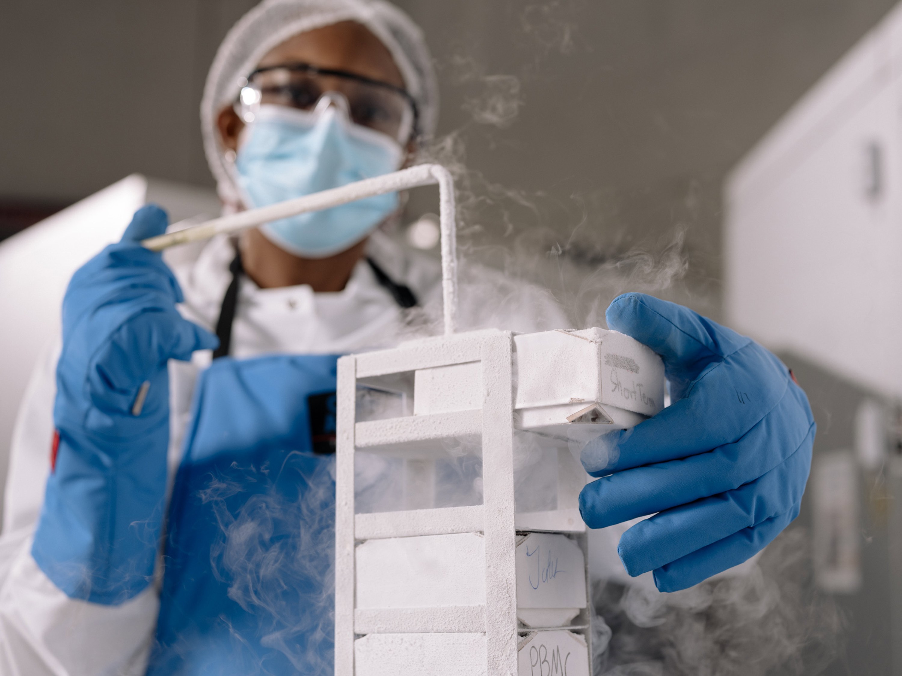 Gesischilling DSCF1316